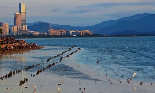 Shenzhen Bay Park-Shenzhen